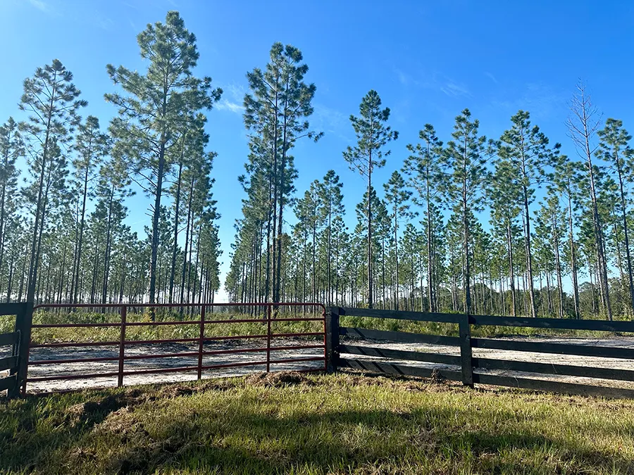 Andrews Grove Gate 2