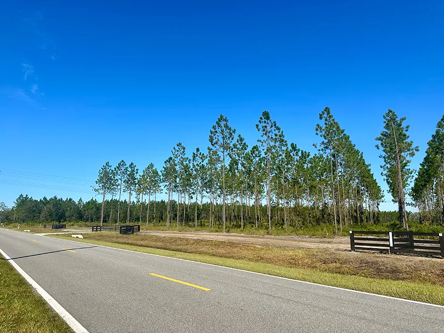 Andrews Grove Gate Road Left