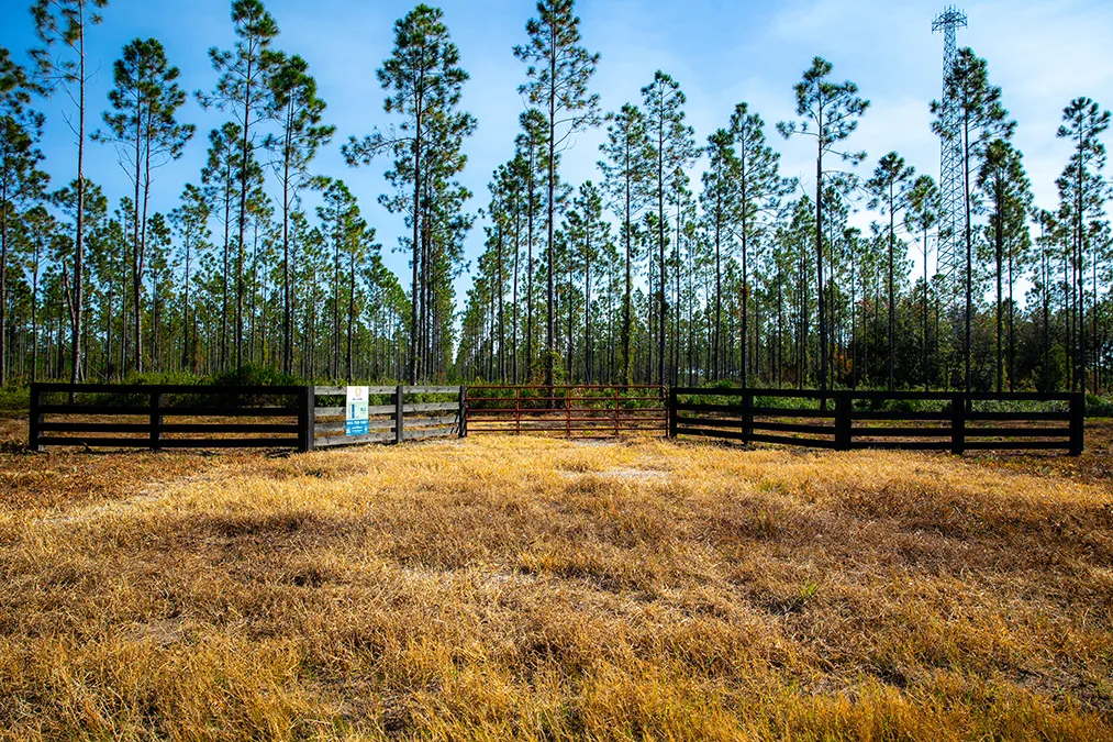 Bayfarmsphotos Lot10