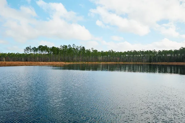 Brandy Branch Lot 4 Pond