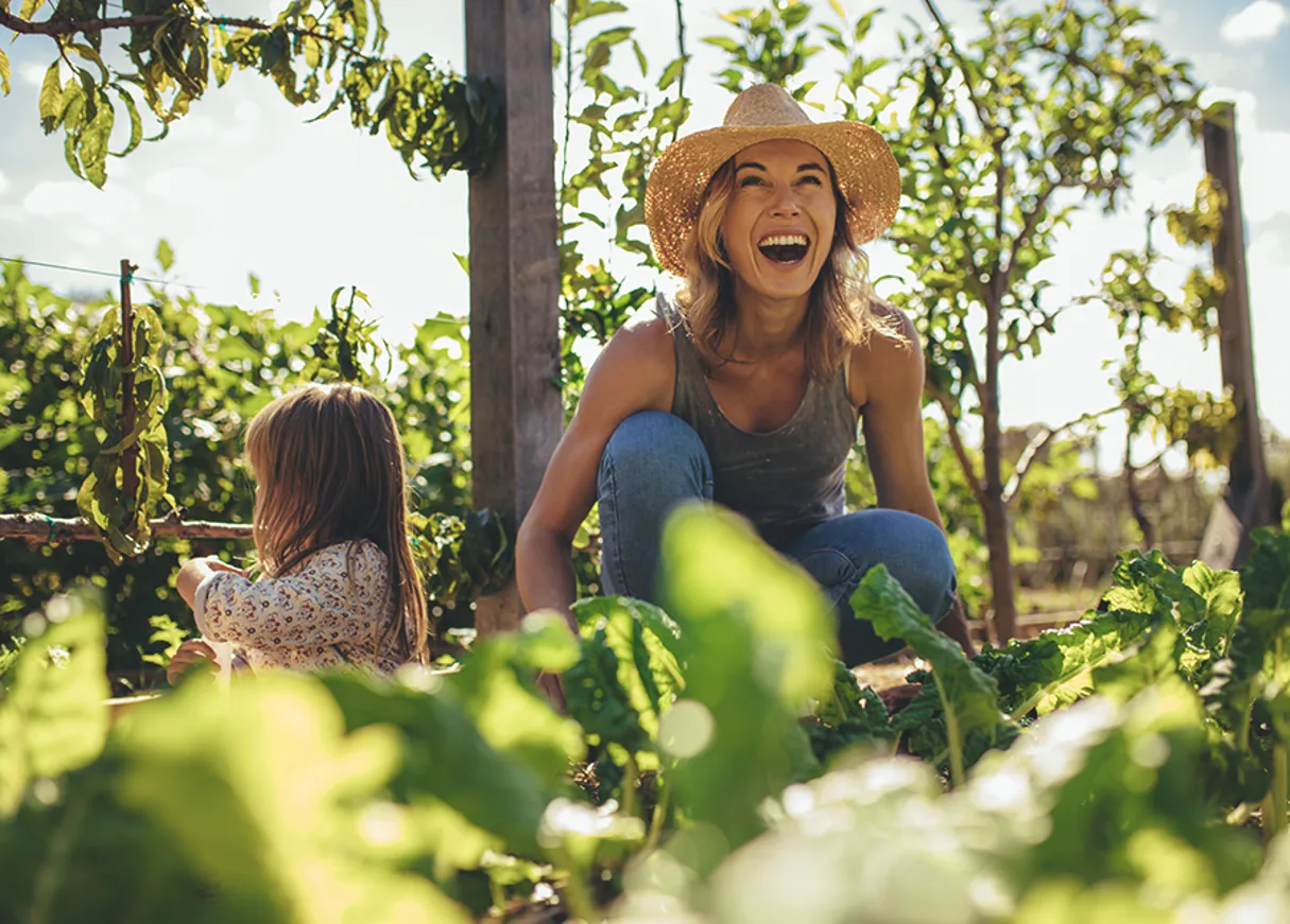 Calcasieu Parish LA Gardening