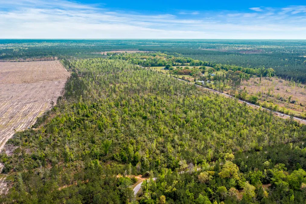 Evergreen Trace Aerial 1