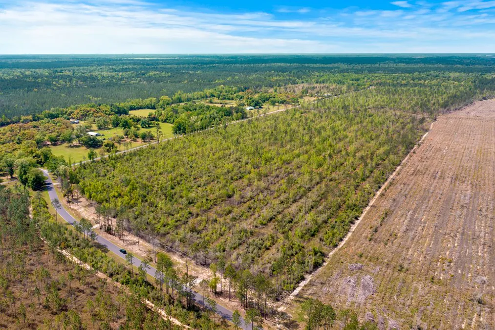 Evergreen Trace Aerial 3