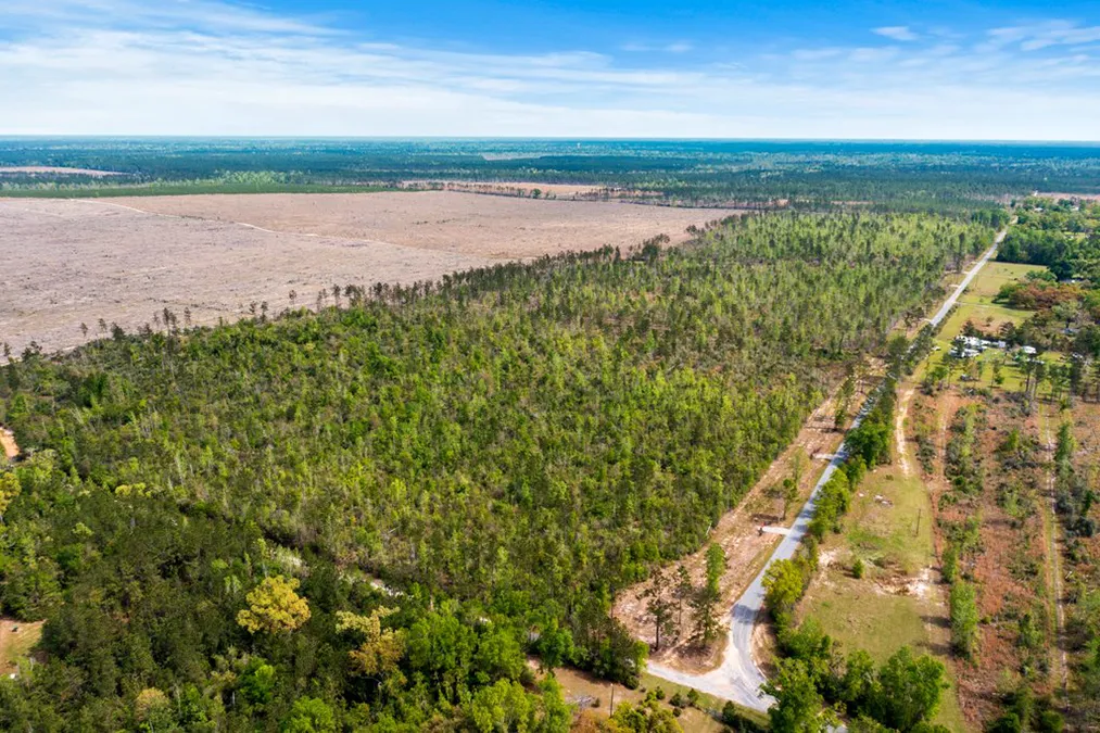 Evergreen Trace Aerial 4