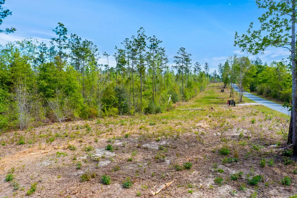 Evergreen Trace Road 2