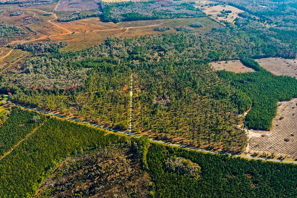Falling Creek Aerial 3