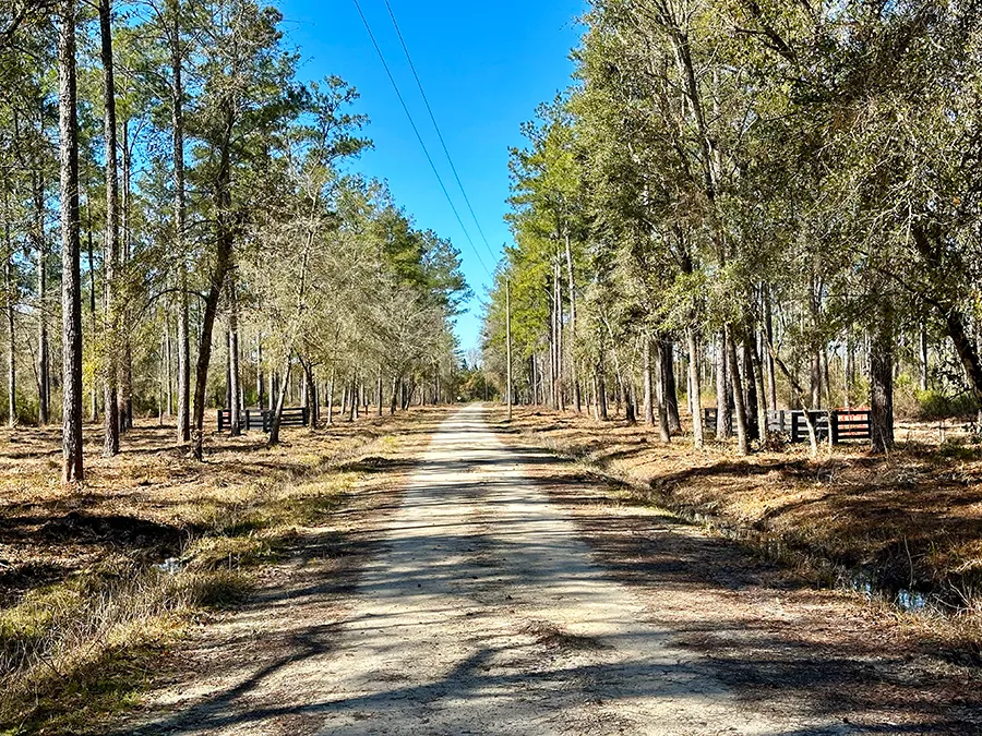 Falling Creek Dirt Road 2
