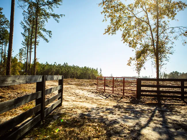 Falling Creek Farms Featured