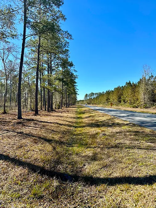 Falling Creek Paved Road