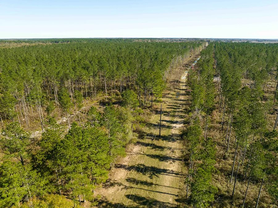 Gander Way Jeff Davis LA 4