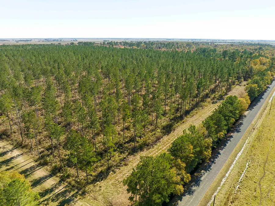 Gander Way Jeff Davis LA 8