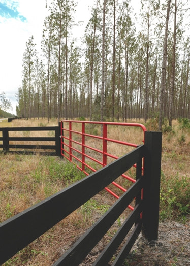 Georgia Raydient Rural Gate