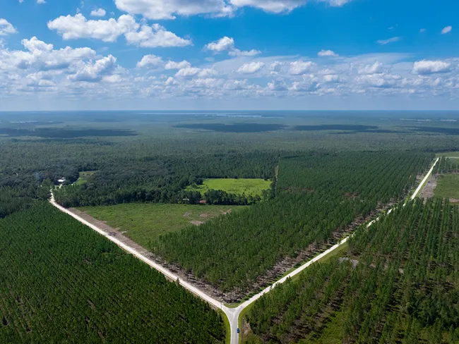 Hampton Pines Featured Image