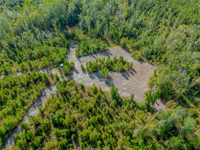 Little Alligator Creek Featured