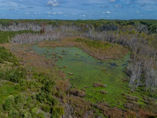 Little Alligator Creek Lot1 2