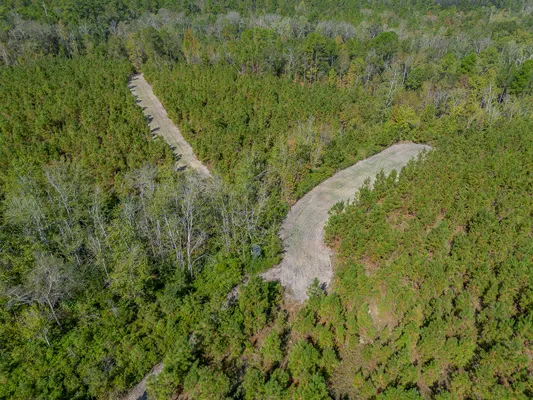 Little Alligator Creek Lot2 1