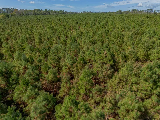 Little Alligator Creek Lot2 5