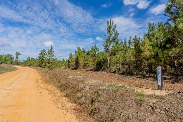 Little Alligator Creek Lot3 4