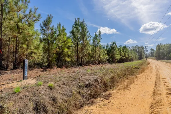 Little Alligator Creek Lot4 3