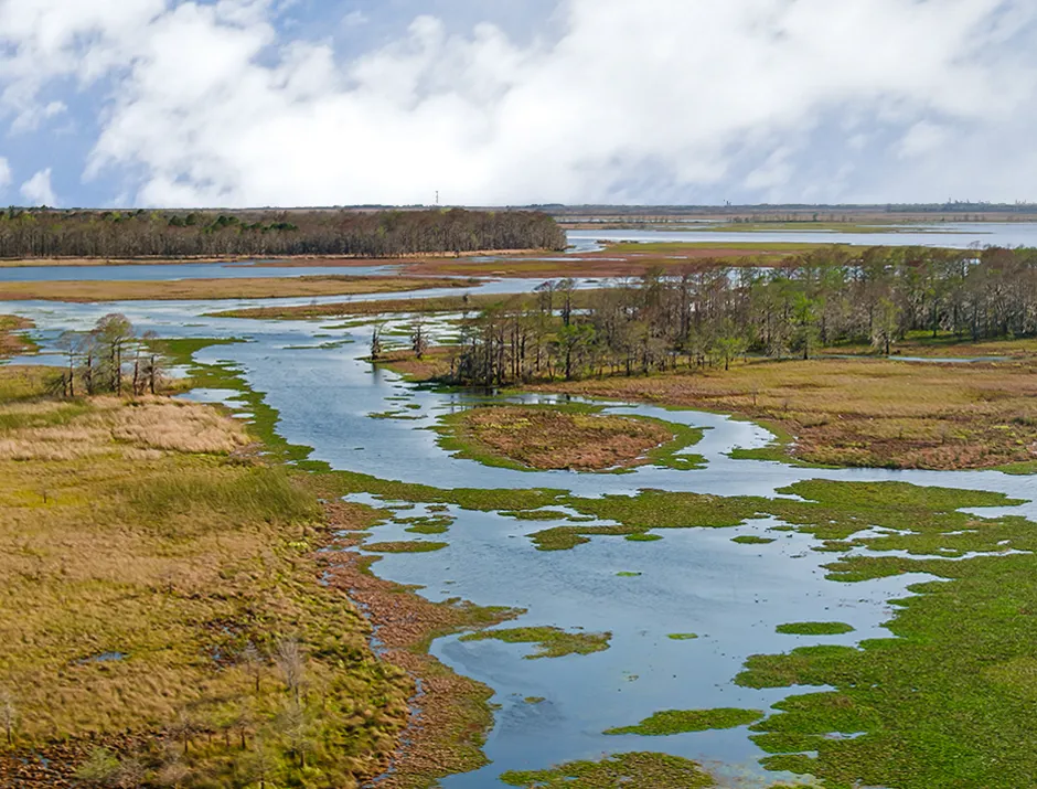 Louisiana Marsh LA TX Border