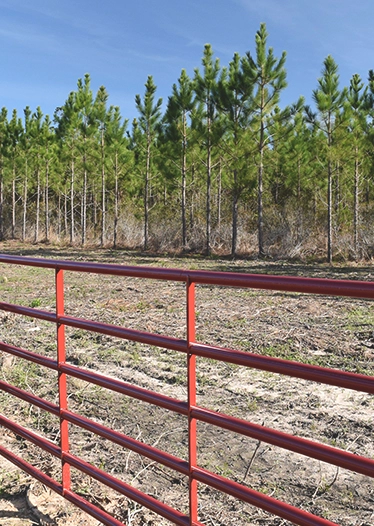 Louisiana Raydient Rural Gate