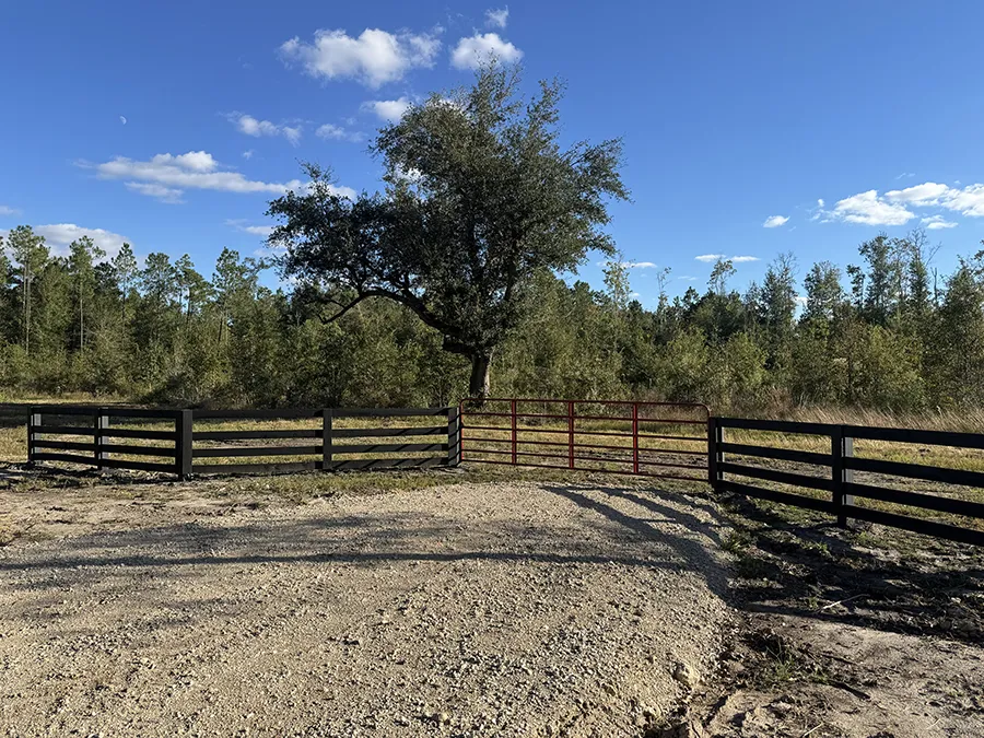 Magnolia Point Gate Tree