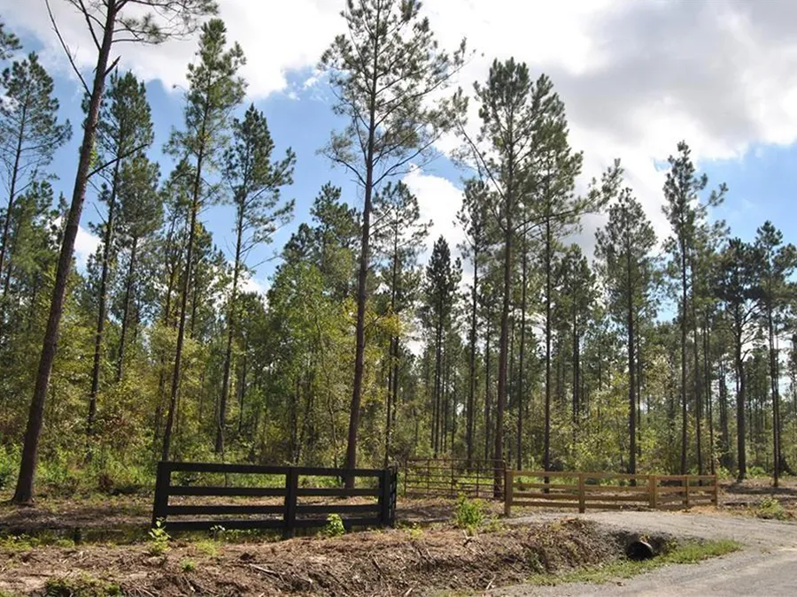 Mallard Farms Featured