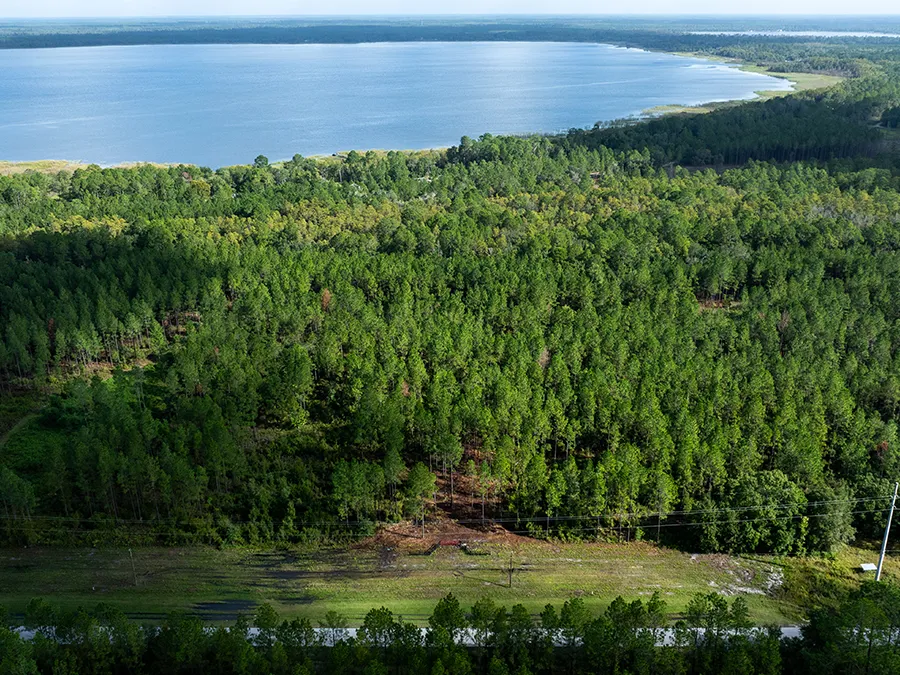 Old Cypress Farms Featured