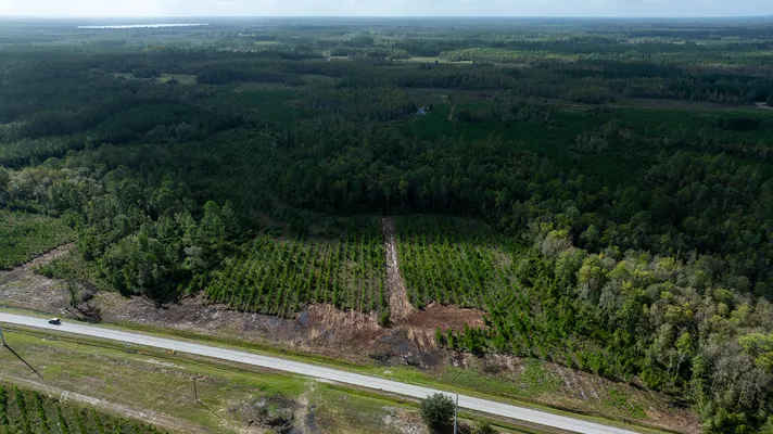 Old Cypress Farms Lot 12