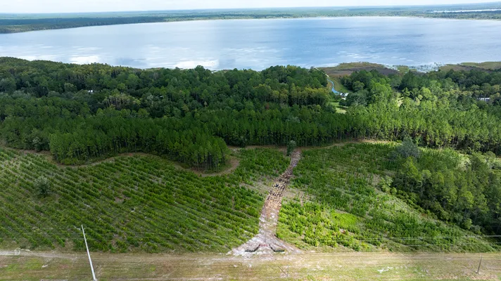 Old Cypress Farms Lot 6