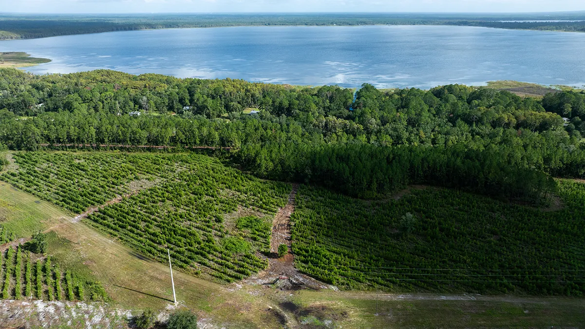 Old Cypress Farms Lot 7