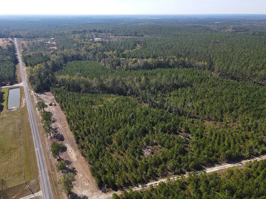 Old Salt Road Aerial 2