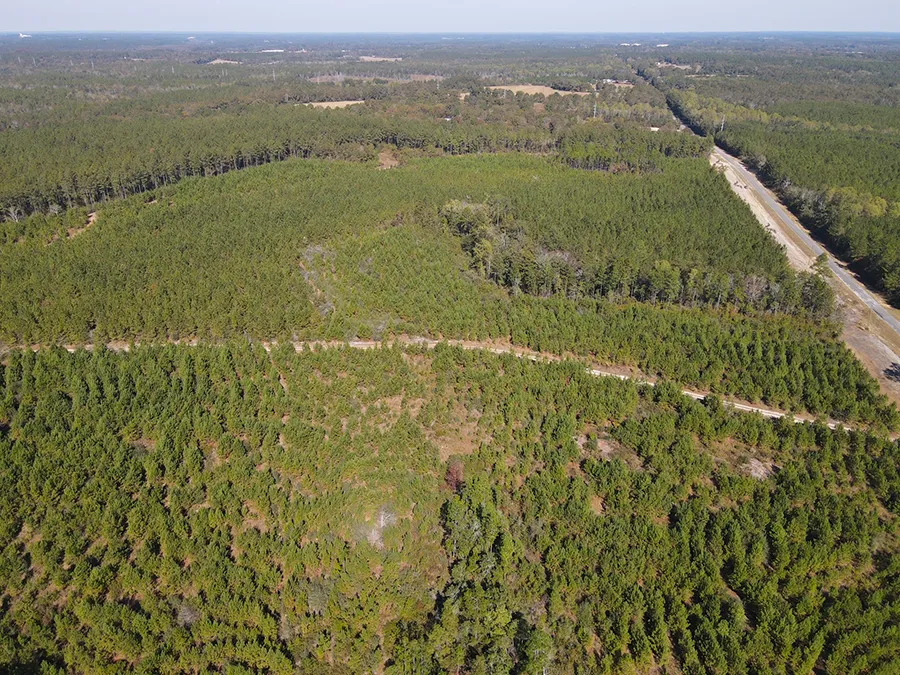 Old Salt Road Aerial 3