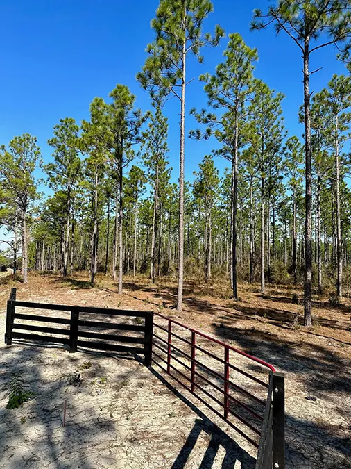 Old Salt Road Gate Vertical