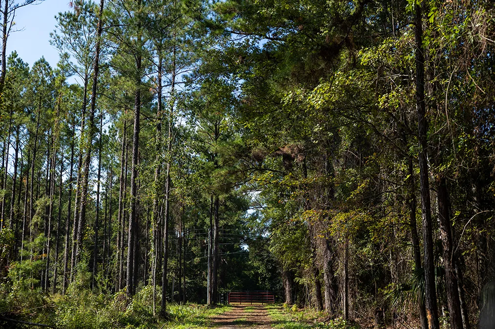 Sandy Oaks Gate Back