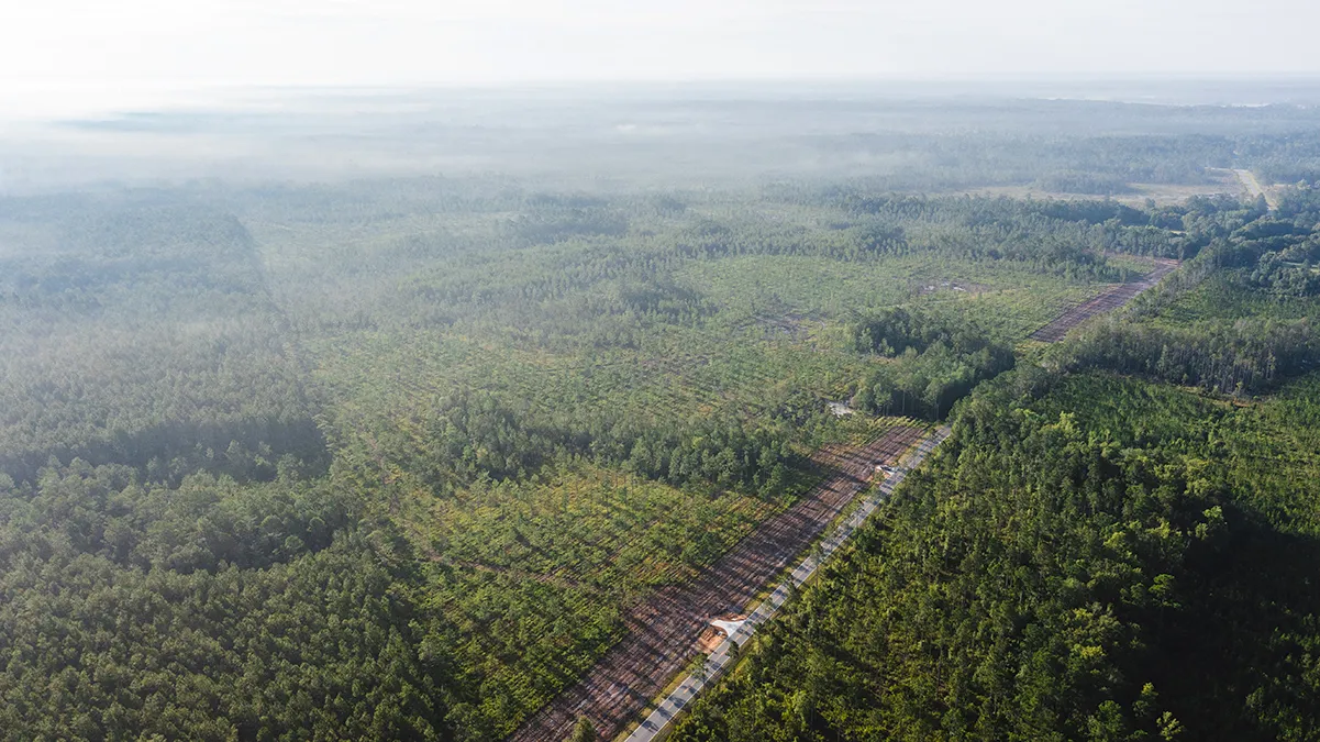 Stave Branch Aerial 4