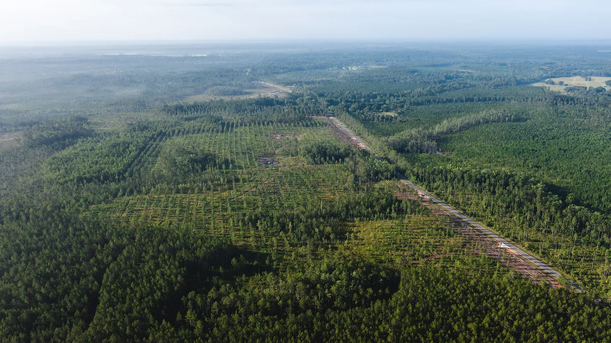 Stave Branch Aerial 6