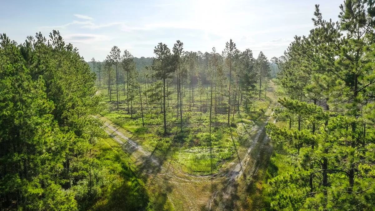 Stave Branch Property 1