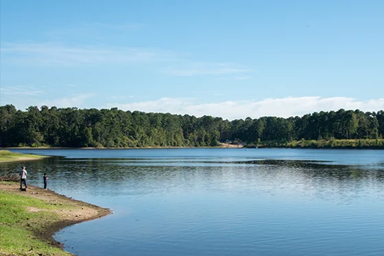 Texas City Hunstville