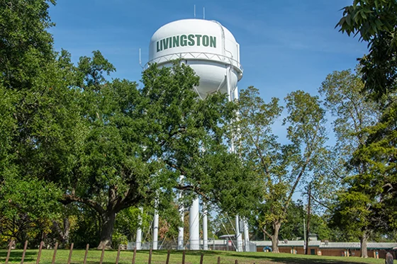 Texas City Livingston